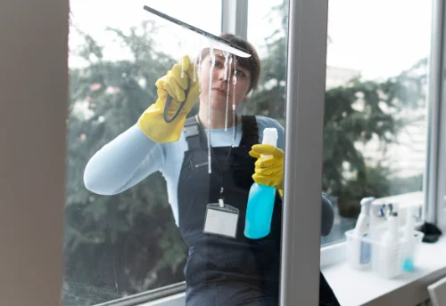 Nettoyage de vitres intérieures et extérieures à Brandonnet